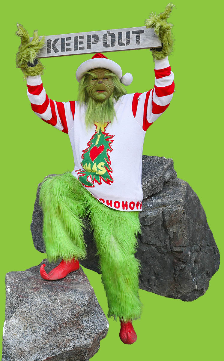 grinchy-grouch-main-pic